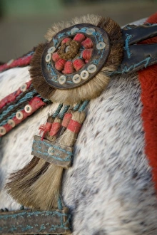 Granada Prints: Nicaragua, Catarina. Detail of colorful girth on horse