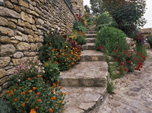 Landscaped Prints: A nicely landscaped stairway in Provence, France