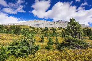 Canada Collection: Nigel Peak from Wilcox Ridge, Columbia Icefields, Jasper National Park, Alberta, Canada