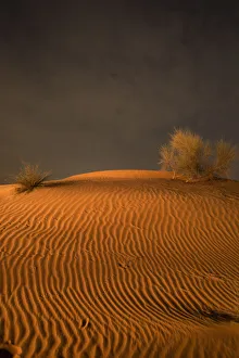 Night in the desert. Abu Dhabi, UAE