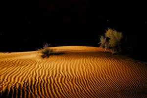 Abu Dhabi Prints: Night in the desert. Abu Dhabi, UAE