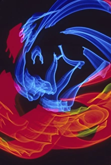 Nightzoom lighting