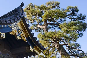 Nijo Castle, Kyoto, Japan