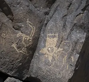 NM, New Mexico, Albuquerque, Petroglyph National Monument, Boca Negra Canyon, petroglyphs