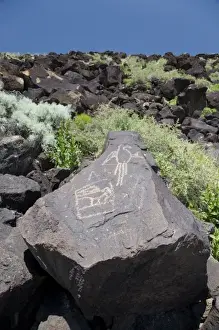 Images Dated 4th May 2007: NM, New Mexico, Albuquerque, Petroglyph National Monument, Boca Negra Canyon, petroglyphs