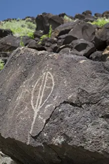 Images Dated 4th May 2007: NM, New Mexico, Albuquerque, Petroglyph National Monument, Boca Negra Canyon, petroglyphs