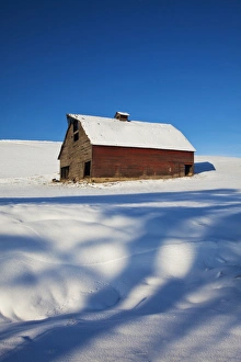 Images Dated 4th January 2011: Noerth America; USA; Washington; Colfax; OLd Red Barn after fresh snow