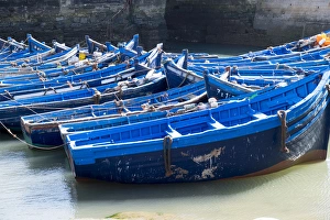 Essaouira Prints: North Africa, Morocco, Essaouira, boats in harbor