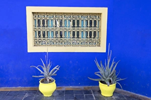 North Africa, Morocco, Marrakech, Jacques Majorelle Botanical Gardens. 12 acres, designed in the 1920s