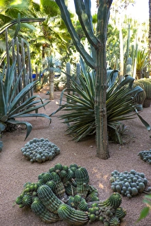 Images Dated 29th April 2015: North Africa, Morocco, Marrakech