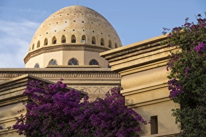 Images Dated 22nd April 2015: North Africa, Morocco, Marrakech, Royal Opera House. Bougainvillea glabra in purple