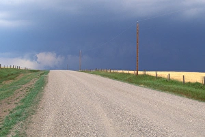 Gravel Prints: North America, Canada, Alberta, Twin Butte Region. Wheat fields in rain storm