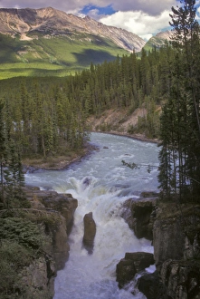 Images Dated 9th July 2010: North America, Canada, Alberta, Jasper National Park. Upper Sunwapta Falls ( turbulent