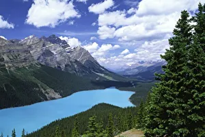 North America, Canada, Alberta, Jasper National Park, Peyto Lake