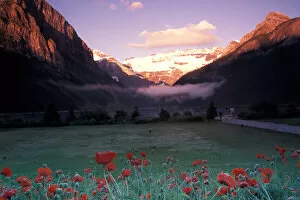 Images Dated 2nd August 2006: North America, Canada, Alberta, Banff NP, Lake Louise morning and poppies