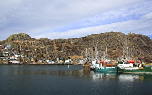 Canada Collection: Newfoundland Collection