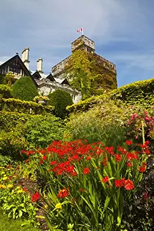 Images Dated 15th July 2009: North America; Canada BC; Victora; Summer in Hately Gardens