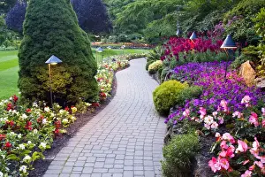 North America; Canada; BC; Victoria; Butchard Gardens In Full Bloom