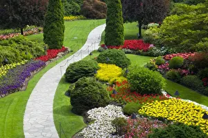 Images Dated 13th July 2009: North America; Canada; BC; Victoria; Butchard Gardens In Full Bloom