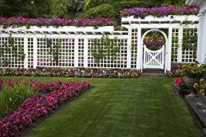 Images Dated 16th July 2009: North America; Canada; BC; Victoria; Butchard Gardens In Full Bloom