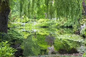 Images Dated 13th July 2009: North America; Canada; BC; Victoria; Butchard Gardens In Full Bloom