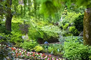 Images Dated 13th July 2009: North America; Canada; BC; Victoria; Butchard Gardens In Full Bloom