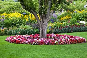 Images Dated 13th July 2009: North America; Canada; BC; Victoria; Butchard Gardens In Full Bloom