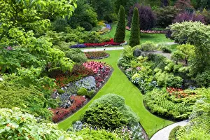 Images Dated 14th July 2009: North America; Canada; BC; Victoria; Butchard Gardens In Full Bloom