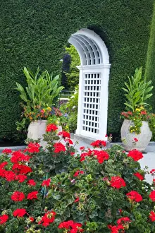 Images Dated 16th July 2009: North America; Canada; BC; Victoria; Butchard Gardens In Full Bloom