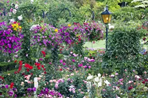 Images Dated 16th July 2009: North America; Canada; BC; Victoria; Butchard Gardens In Full Bloom