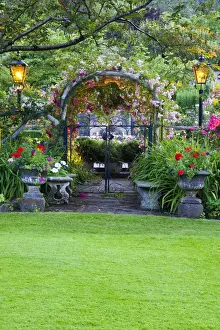 Images Dated 16th July 2009: North America; Canada; BC; Victoria; Rose Garden at Butchard Gardens In Full Bloom