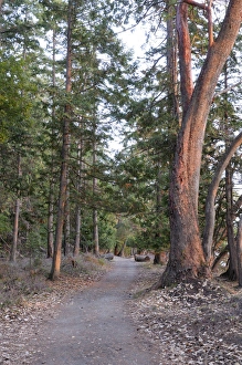 North America, Canada, British Columbia, Sidney Island