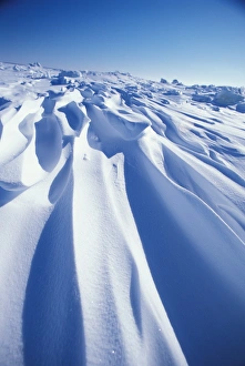 Images Dated 23rd February 2006: North America, Canada, Manitoba, Churchill. Arctic Landscape - Frozen Churchill River