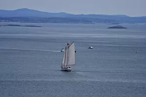 North America, Canada, New Brunswick. A sailboat viewed from Campobello Island