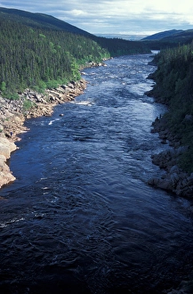 Patrick J Wall Prints: North America, Canada, Newfoundland, Labrador, Pinware River