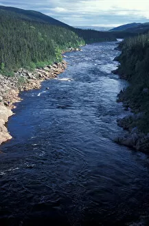 Images Dated 2nd February 2006: North America, Canada, Newfoundland, Labrador, Pinware River