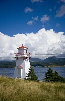 Images Dated 21st August 2007: North America, Canada, Newfoundland and Labrador, Gros Morne National Park, Woody