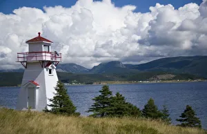 Images Dated 21st August 2007: North America, Canada, Newfoundland and Labrador, Gros Morne National Park, Woody