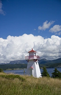 Images Dated 21st August 2007: North America, Canada, Newfoundland and Labrador, Gros Morne National Park, Woody