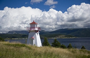 Images Dated 21st August 2007: North America, Canada, Newfoundland and Labrador, Gros Morne National Park, Woody