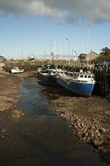 Images Dated 6th September 2009: North America, Canada, Nova Scotia, Halls Harbour, Bay of Fundy at Low Tide
