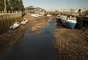 Images Dated 6th September 2009: North America, Canada, Nova Scotia, Halls Harbour, Bay of Fundy at Low Tide