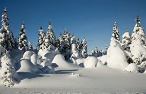 Images Dated 18th January 2011: North America, Canada, Nova Scotia, Cape Breton, Cabot Trail in winter
