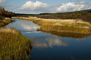 Images Dated 22nd October 2011: North America, Canada, Nova Scotia, Cape Breton, Margaree River Reflection