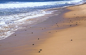 north America, Canada, Nova Scotia, beach near the Cabot Trail, Cape Beton