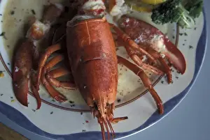 Images Dated 22nd March 2005: North America, Canada, Quebec, Gaspe Peninsula (Gaspesie), Perce Local lobster