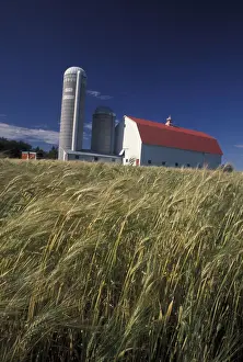 Images Dated 22nd March 2005: North America, Canada, Quebec, Gaspe Peninsula (Gaspesie) Barn and silo