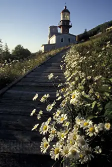 Images Dated 22nd March 2005: North America, Canada, Quebec, Gaspe Peninsula (Gaspesie) Pointe-a-la-Renommee