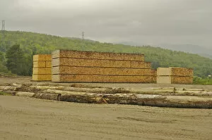 North America, Canada, Quebec. Logs and lumber