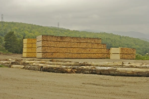 Images Dated 25th August 2007: North America, Canada, Quebec. Logs and lumber